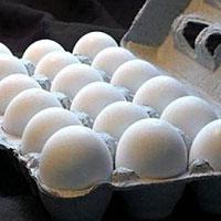 Сколько можно яиц в день