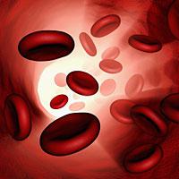 Cколько гемоглобина должно быть в крови